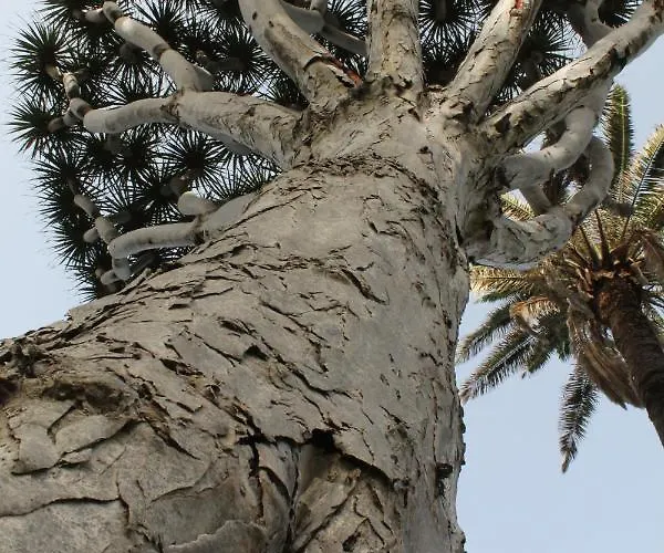 The Travellers Secret