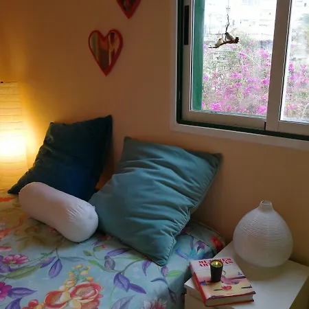Guest house Welcome To Discover The Magic Amazing Tenerife !! Private Bath Breakast Wf :) Candelaria
